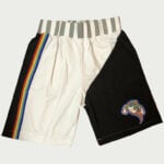 Aaliyah #19 MTV Bricklayers Basketball Shorts