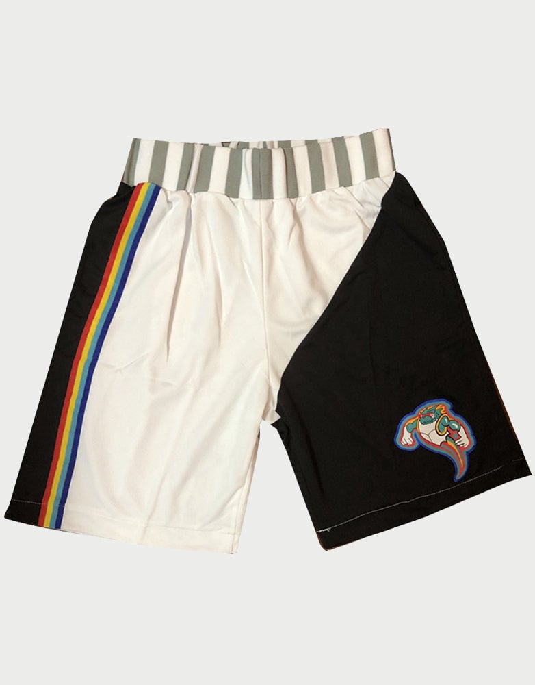 Aaliyah #19 MTV Bricklayers Basketball Shorts