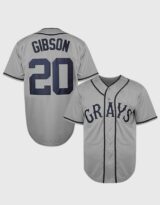 Josh Gibson #20 Grays Baseball Jersey