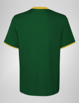 Cameroon Green Classic Short Sleeve Blank Soccer Jersey