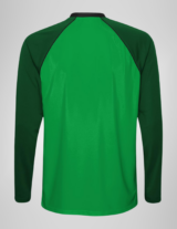 Cameroon Green Classic Long Sleeve Blank Soccer Jersey
