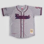 Youth Cleveland Buckeyes Button Down Baseball Jersey