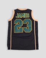 Irish Lebron James Authentic Youth Basketball Jersey